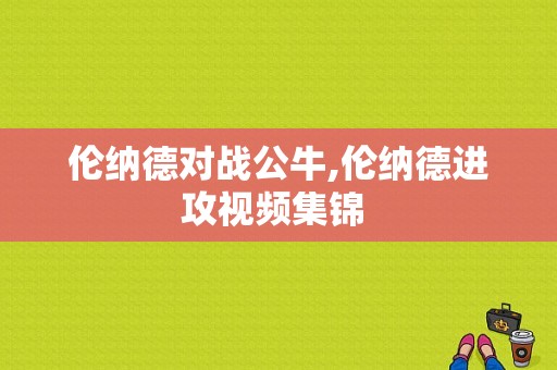 伦纳德对战公牛,伦纳德进攻视频集锦 